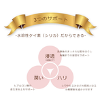 画像をギャラリービューアに読み込む, シリカセラム100
